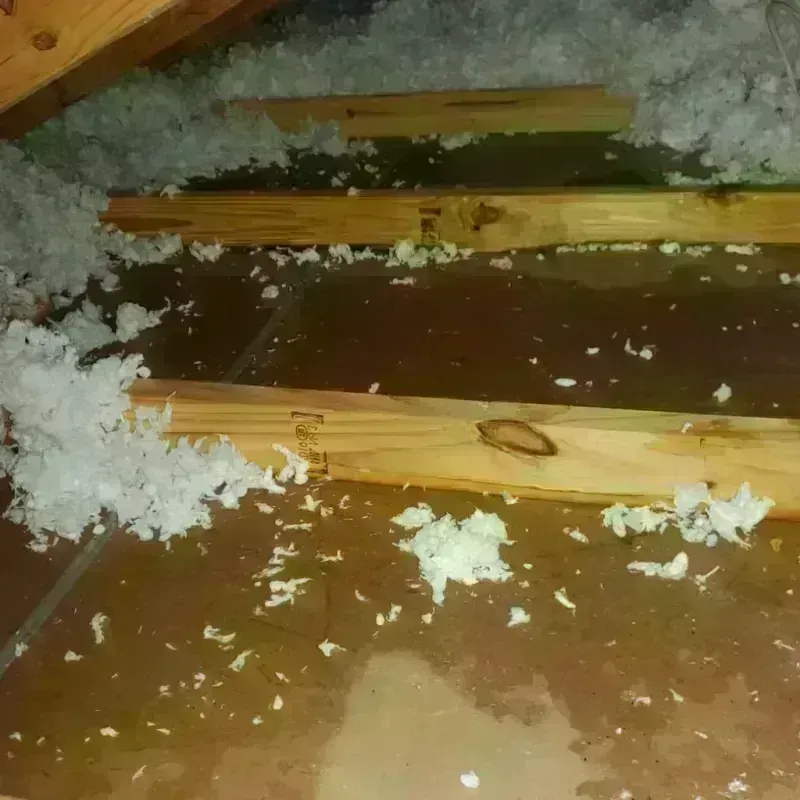 Attic Water Damage in Pablo, MT