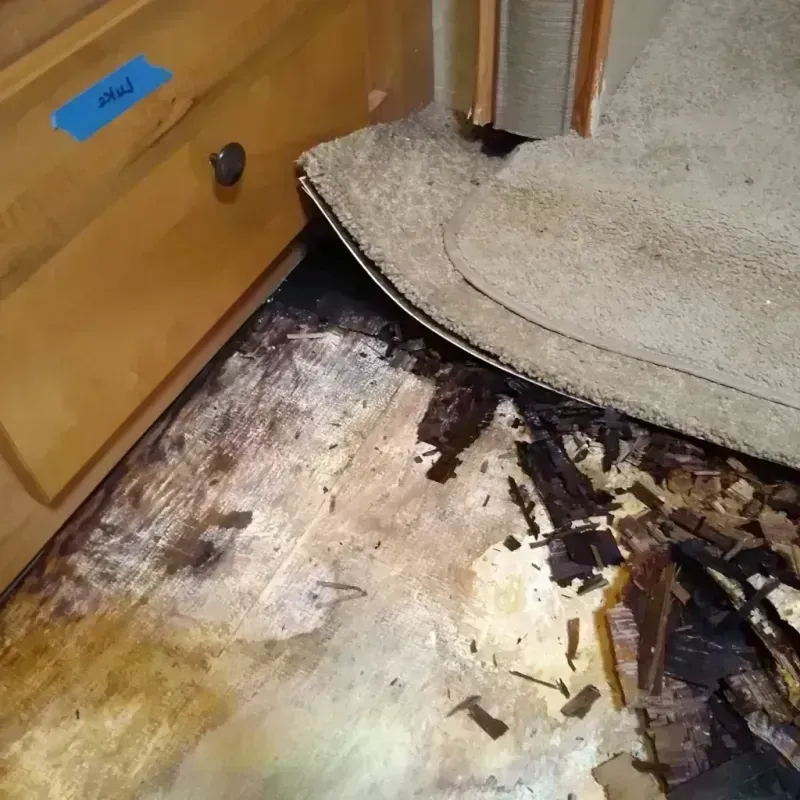 Wood Floor Water Damage in Pablo, MT